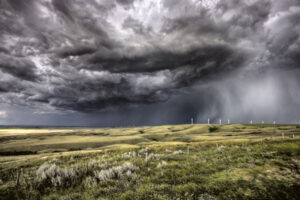Political and Economic Storm