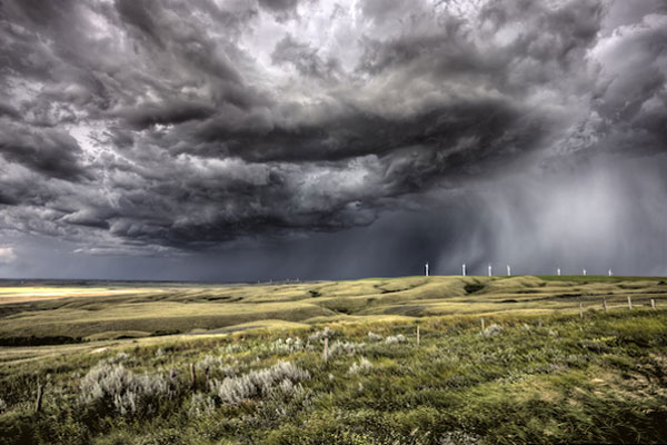 Political and Economic Storm
